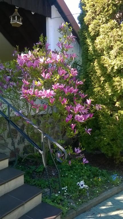 Holiday Villa Żuromino Esterno foto
