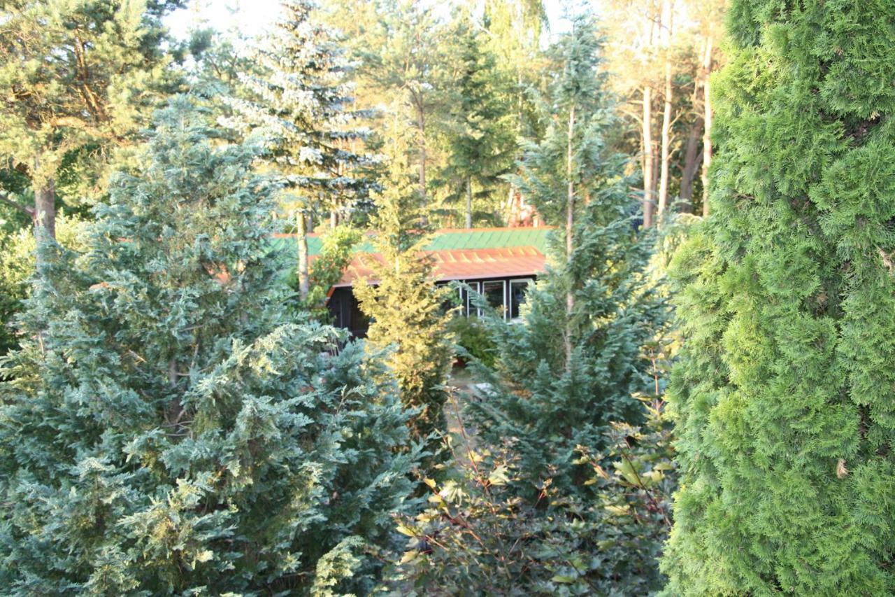 Holiday Villa Żuromino Esterno foto